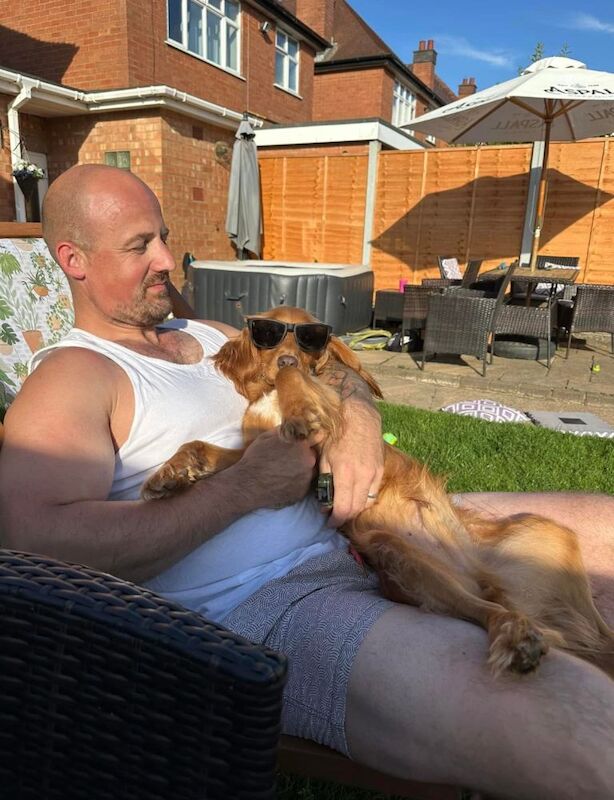 Cocker Spaniel puppies for sale in Redditch, Worcestershire – 2 years old - Image 4 of 4