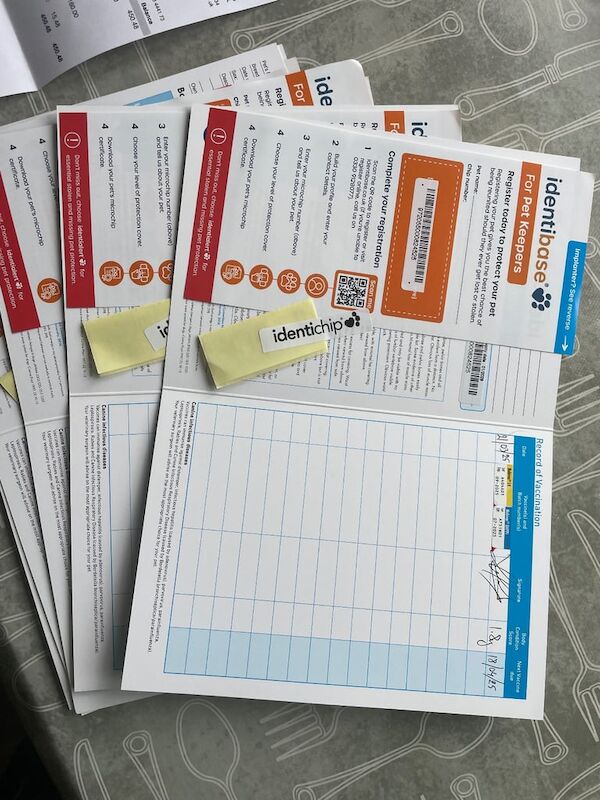 Cocker Spaniel pupp’s - Image 2 of 3