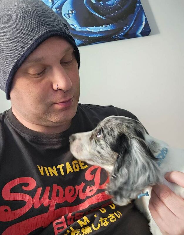 Cocker Spaniel Puppies For Sale Under £1,000
