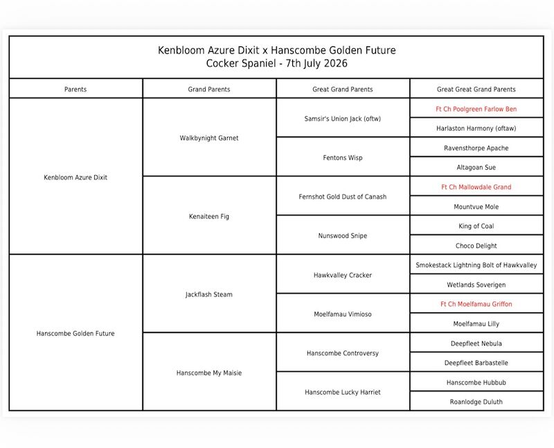 Interest list open - Image 4 of 4