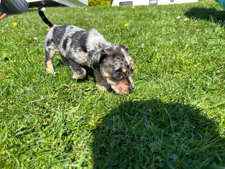 Ready for there for ever homes - Image 2 of 3