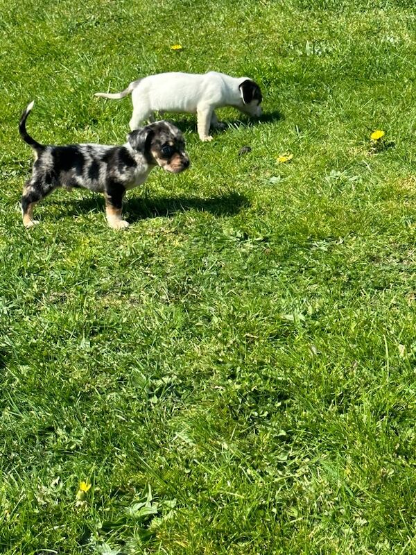 Ready for there for ever homes - Image 3 of 3