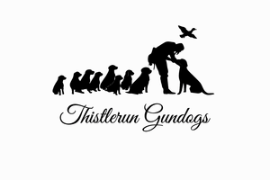 THISTLERUN GUNDOGS