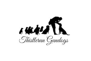 Rebecca Avison - Licensed Cocker Spaniel breeder